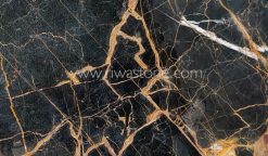 Golden Galaxy Marble Riwa Stone