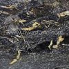 Infinity Gold Granite Riwa Stone
