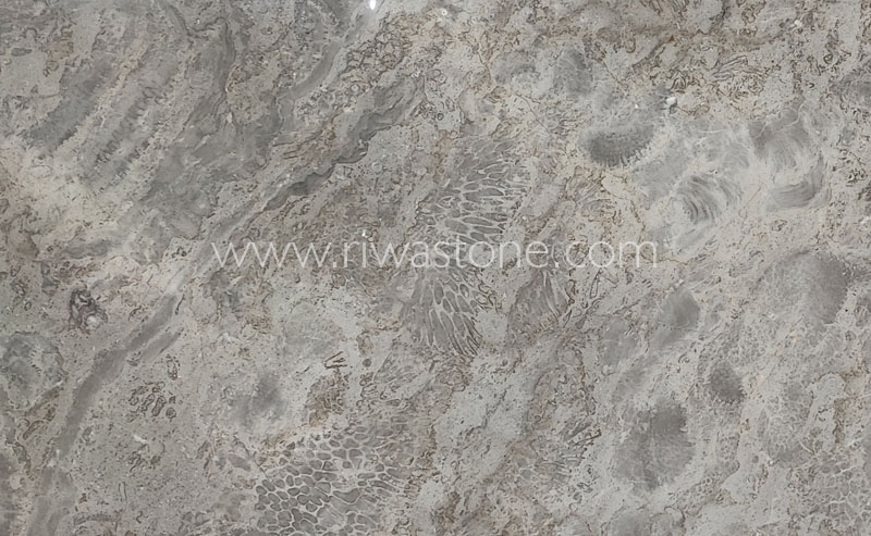 Kashan Grey Marble Riwa Stone