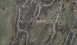 Alternative view of Verde Borgogna